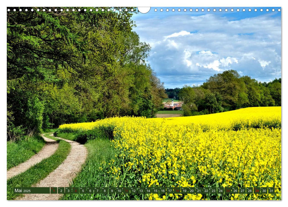 Wiesen Wälder Weiher. Der Naturpark Augsburg-Westliche Wälder (CALVENDO Wandkalender 2025)