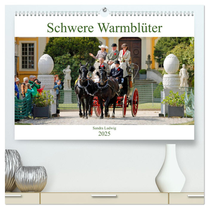 Schwere Warmblüter 2025 (CALVENDO Premium Wandkalender 2025)