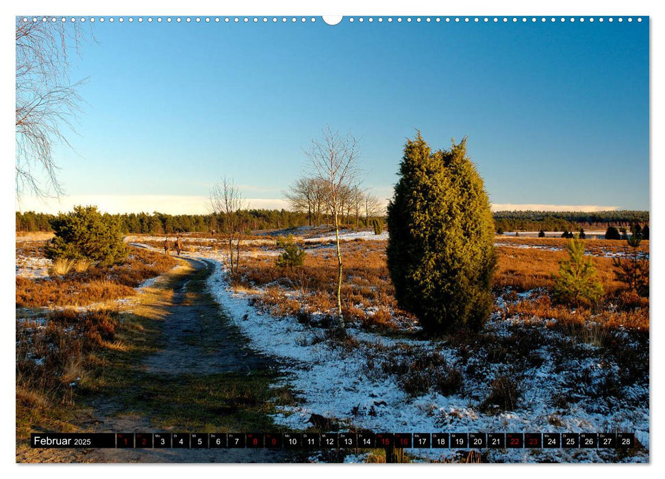 Lüneburger Heide (CALVENDO Premium Wandkalender 2025)