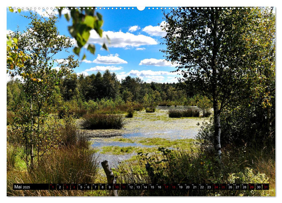 Lüneburger Heide (CALVENDO Premium Wandkalender 2025)