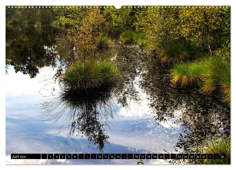 Lüneburger Heide (CALVENDO Premium Wandkalender 2025)