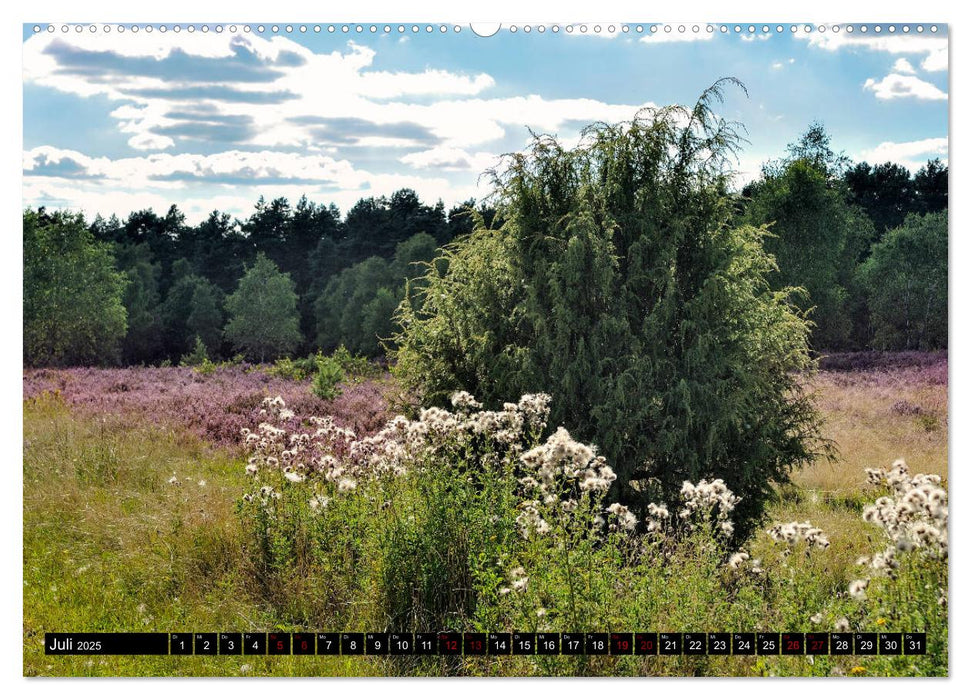 Lüneburger Heide (CALVENDO Premium Wandkalender 2025)