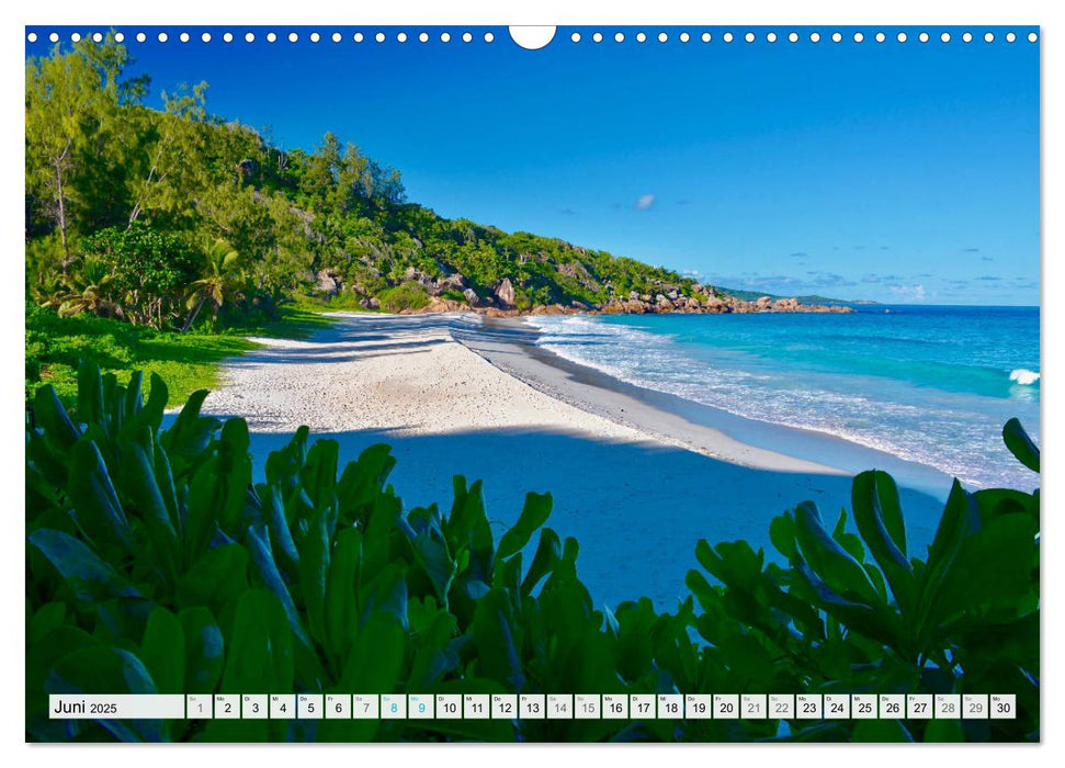 Seychellen - Paradies im Indischen Ozean (CALVENDO Wandkalender 2025)