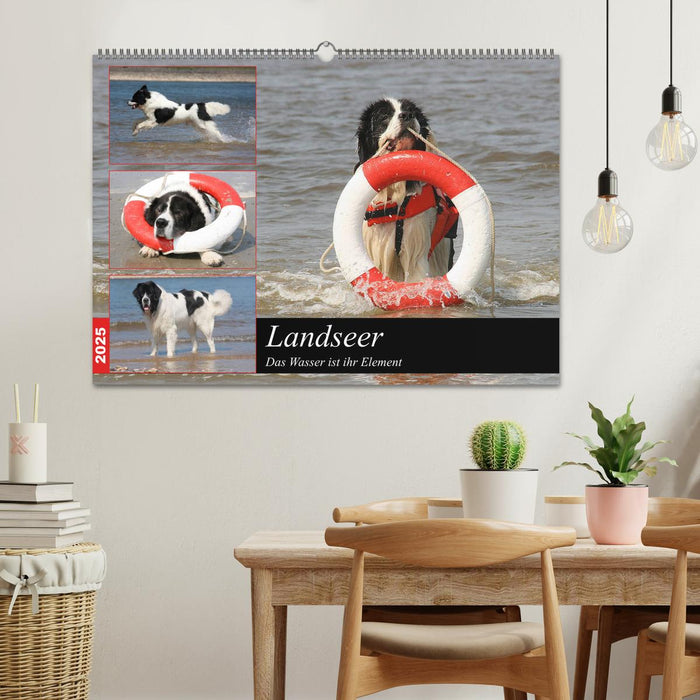 Landseer - Das Wasser ist ihr Element (CALVENDO Wandkalender 2025)