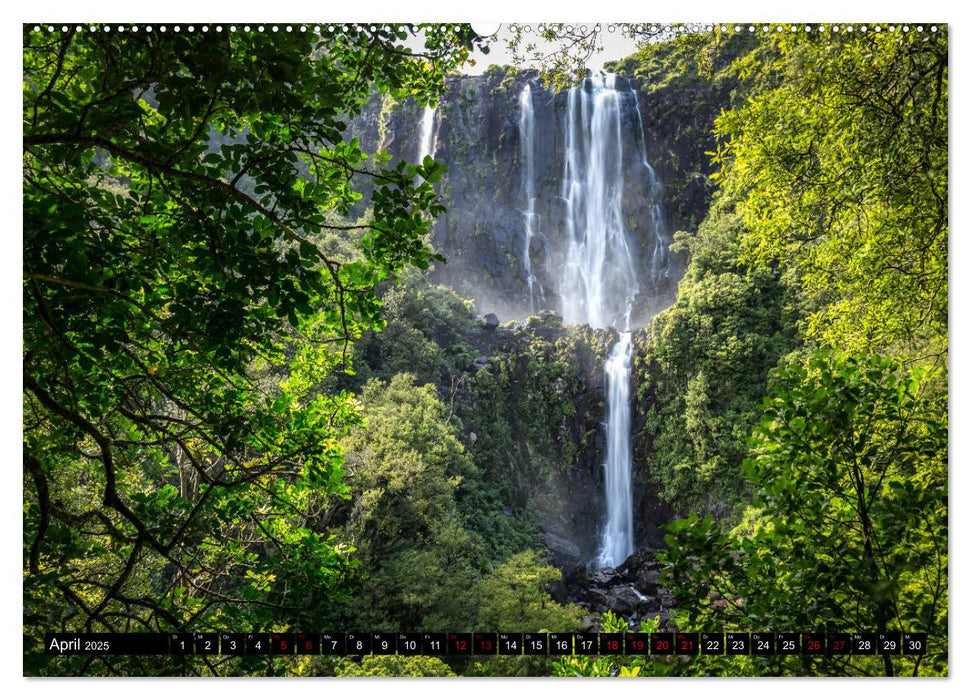 Waldwasser (CALVENDO Premium Wandkalender 2025)