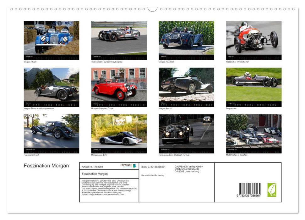 Faszination Morgan (CALVENDO Premium Wandkalender 2025)