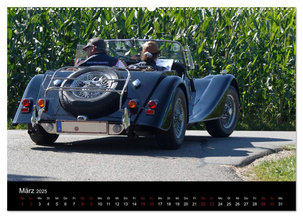 Faszination Morgan (CALVENDO Premium Wandkalender 2025)