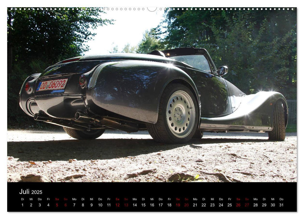 Faszination Morgan (CALVENDO Premium Wandkalender 2025)