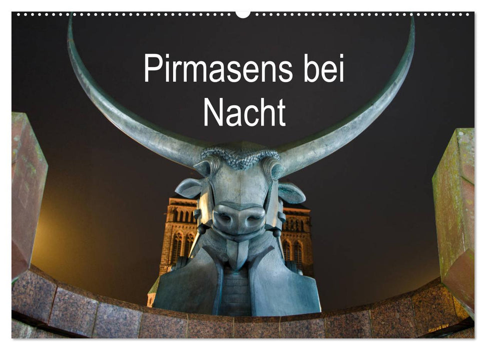 Pirmasens bei Nacht (CALVENDO Wandkalender 2025)