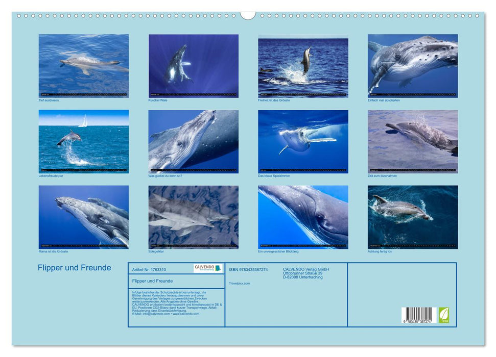 Flipper und Freunde (CALVENDO Wandkalender 2025)