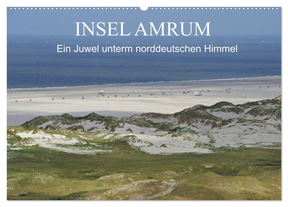 Insel Amrum - Ein Juwel unterm norddeutschen Himmel (CALVENDO Wandkalender 2025)