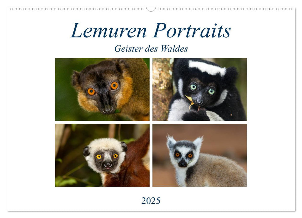 Lemuren Portraits (CALVENDO Wandkalender 2025)