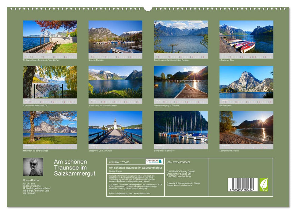 Am schönen Traunsee im Salzkammergut (CALVENDO Premium Wandkalender 2025)