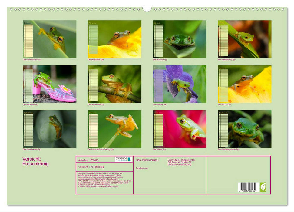 Vorsicht: Froschkönig (CALVENDO Wandkalender 2025)