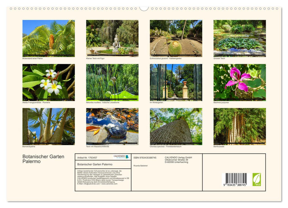 Botanischer Garten Palermo (CALVENDO Premium Wandkalender 2025)