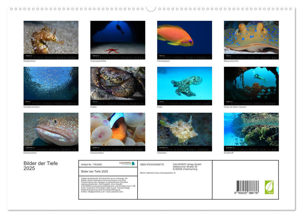 Bilder der Tiefe 2025 (CALVENDO Premium Wandkalender 2025)