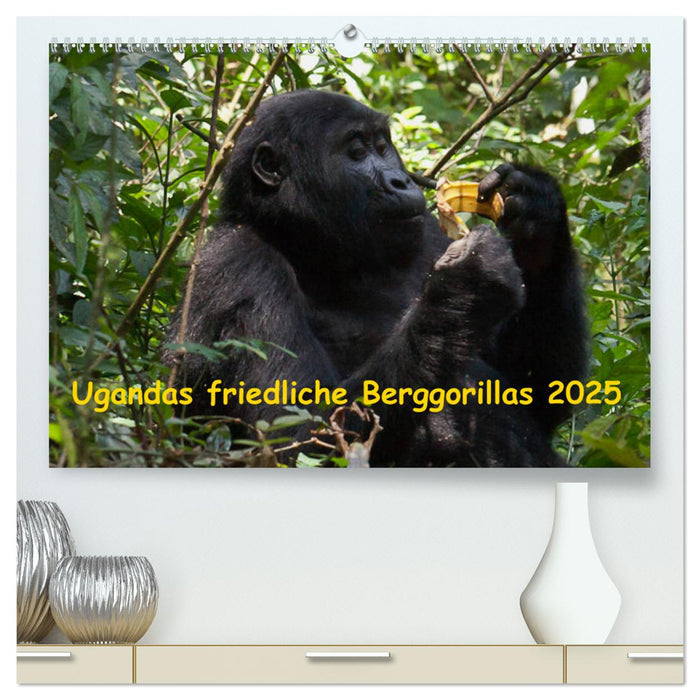 Ugandas friedliche Berggorillas (CALVENDO Premium Wandkalender 2025)