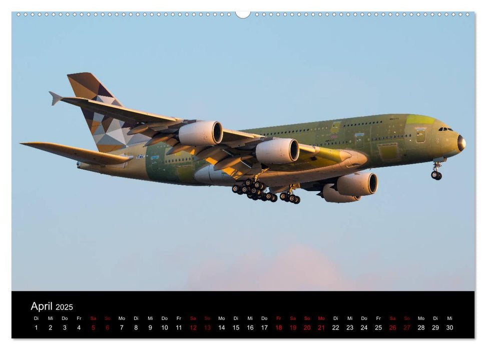 Leidenschaft Flugzeuge (CALVENDO Premium Wandkalender 2025)