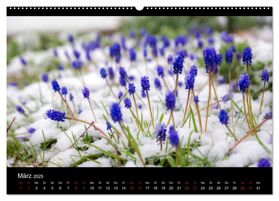 Naturwunder Norddeutschlands (CALVENDO Wandkalender 2025)