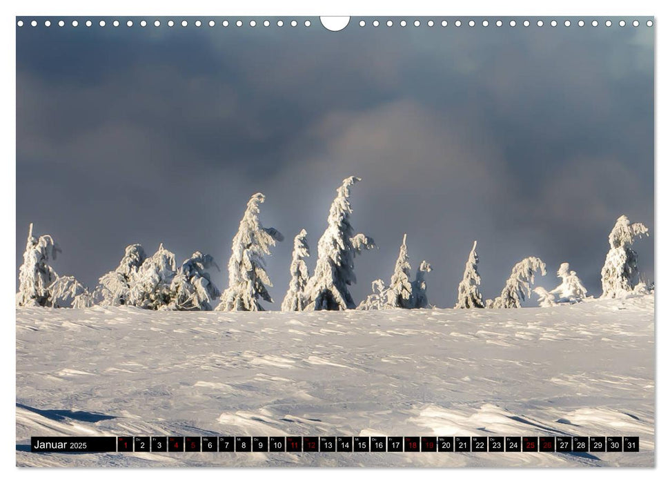 Die Rhön (CALVENDO Wandkalender 2025)