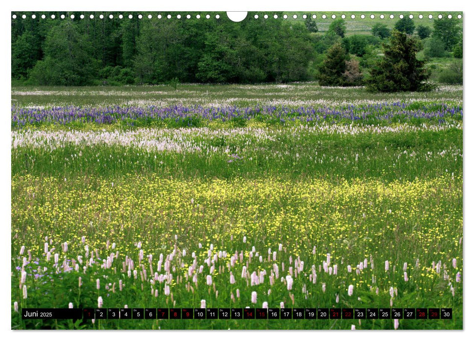 Die Rhön (CALVENDO Wandkalender 2025)