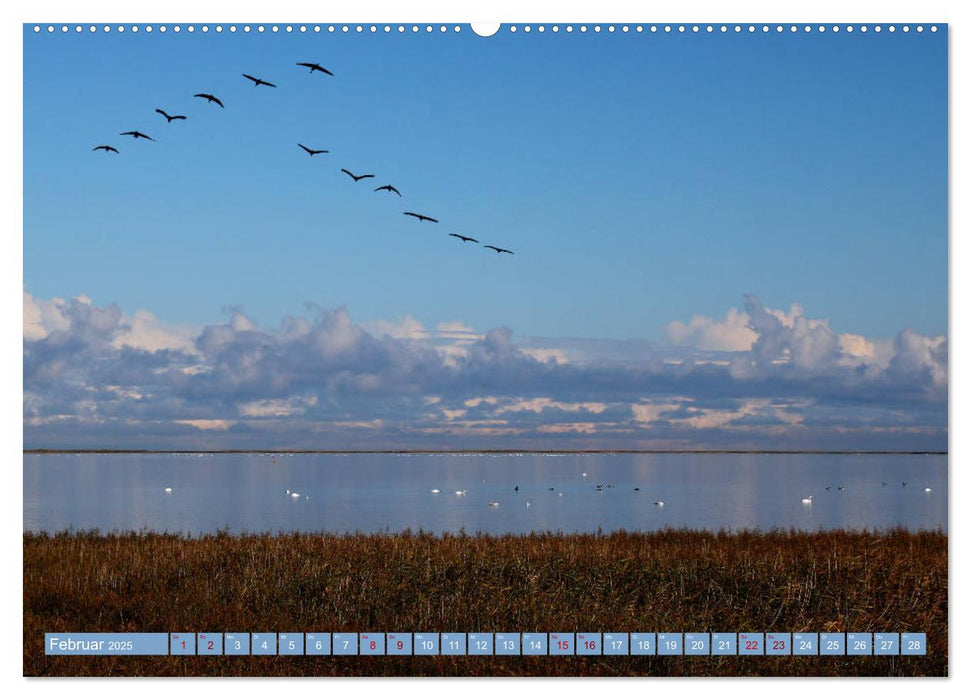 Stralsund und die Boddenlandschaft (CALVENDO Premium Wandkalender 2025)