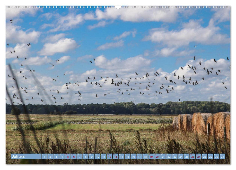 Stralsund und die Boddenlandschaft (CALVENDO Premium Wandkalender 2025)