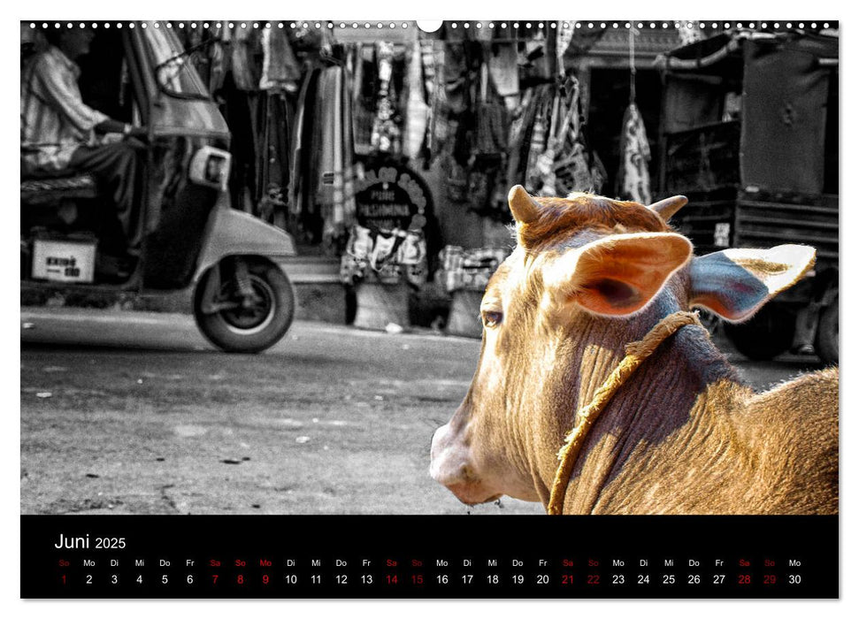 Indien Colorkey (CALVENDO Premium Wandkalender 2025)