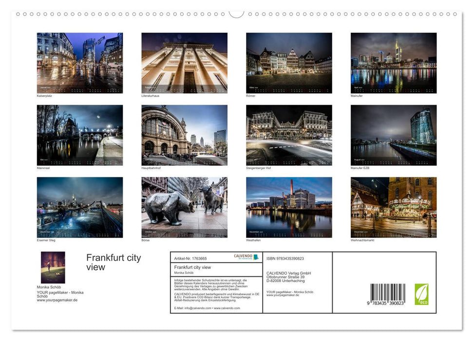 Frankfurt city view (CALVENDO Premium Wandkalender 2025)