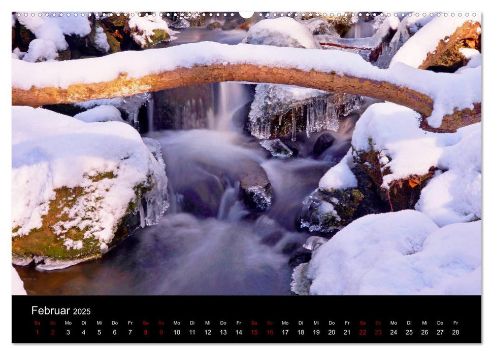 Der Waldspaziergang (CALVENDO Premium Wandkalender 2025)