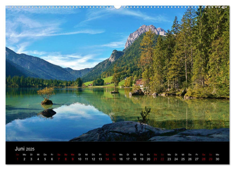 Der Waldspaziergang (CALVENDO Premium Wandkalender 2025)