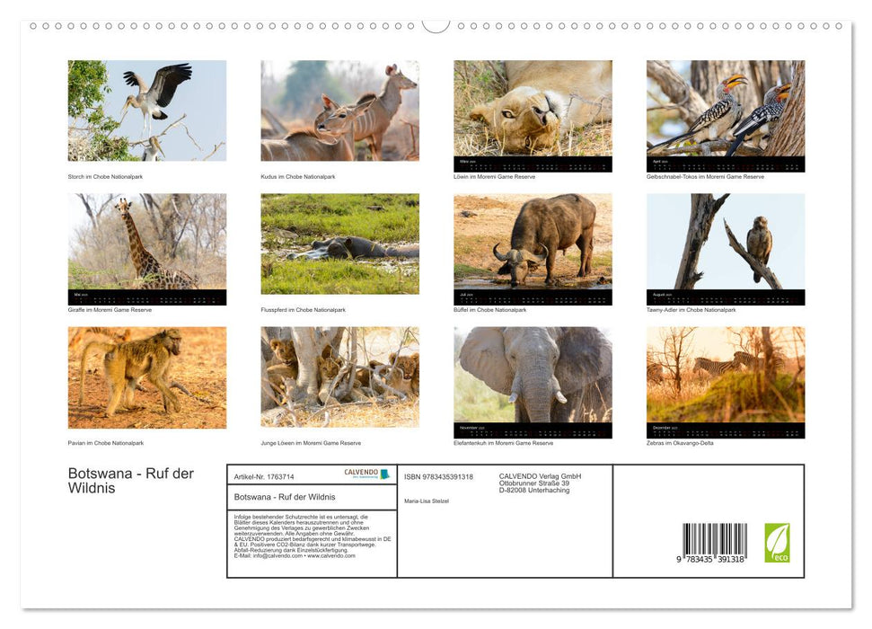 Botswana - Ruf der Wildnis (CALVENDO Premium Wandkalender 2025)