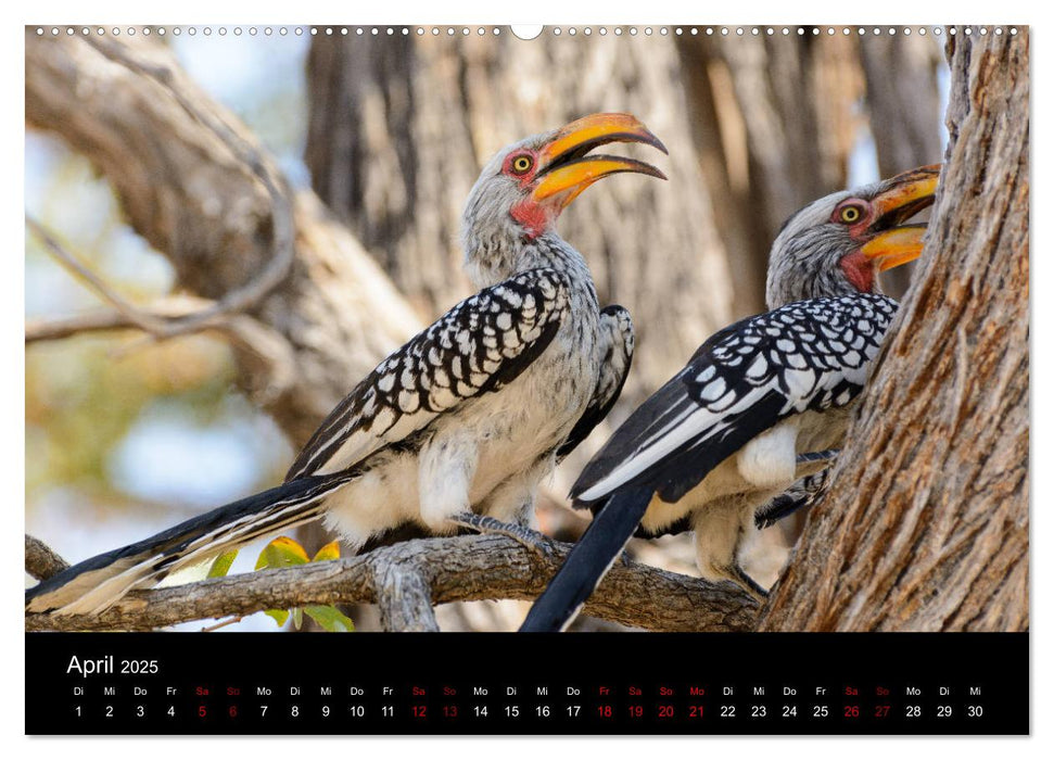 Botswana - Ruf der Wildnis (CALVENDO Premium Wandkalender 2025)