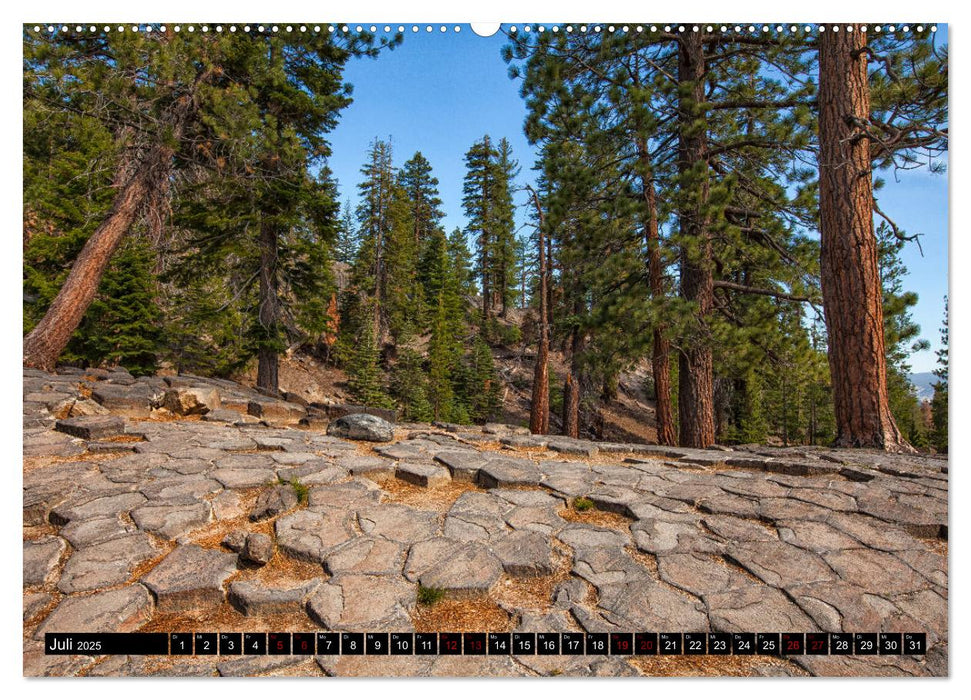 Landschafts-Sensationen (CALVENDO Premium Wandkalender 2025)