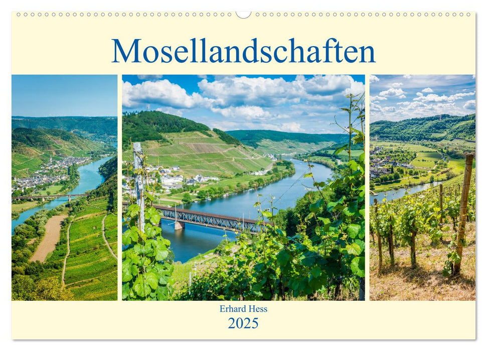 Mosellandschaften (CALVENDO Wandkalender 2025)