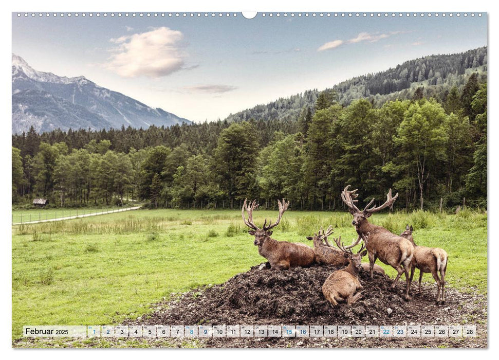 Österreich Berg und See (CALVENDO Premium Wandkalender 2025)