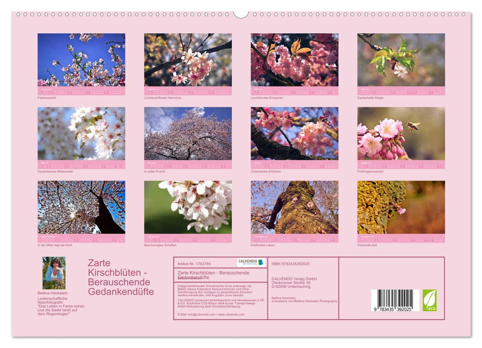 Zarte Kirschblüten - Berauschende Gedankendüfte (CALVENDO Premium Wandkalender 2025)