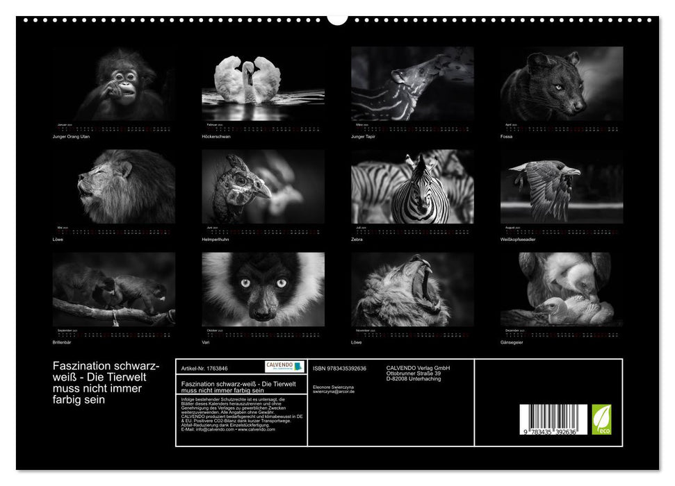 Faszination schwarz-weiß - Die Tierwelt muss nicht immer farbig sein (CALVENDO Premium Wandkalender 2025)