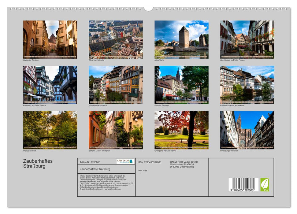 Zauberhaftes Straßburg (CALVENDO Premium Wandkalender 2025)