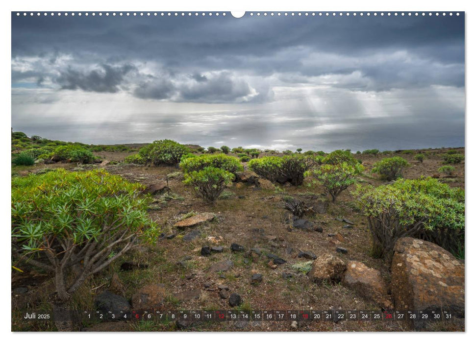 La Isla de La Gomera - Wilde Schönheit im Atlantik (CALVENDO Premium Wandkalender 2025)