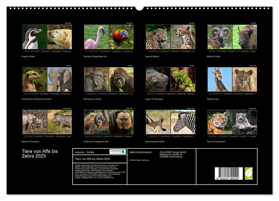 Tiere von Affe bis Zebra 2025 (CALVENDO Premium Wandkalender 2025)