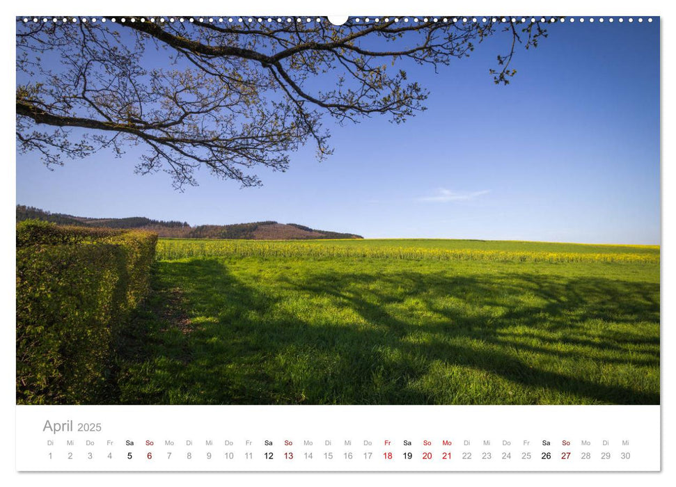 Stadt Plettenberg (CALVENDO Premium Wandkalender 2025)