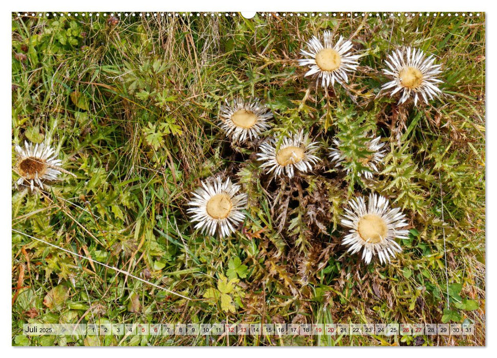 Herbst im Tannheimer Tal - Impressionen von Schattwald bis Nesselwängle (CALVENDO Premium Wandkalender 2025)