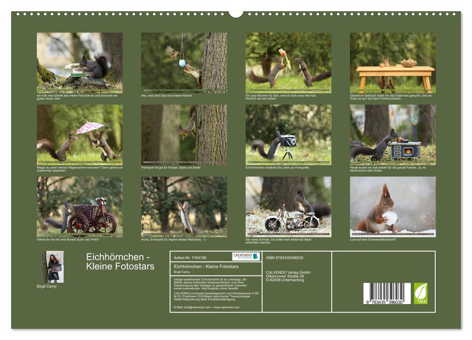 Eichhörnchen - Kleine Fotostars (CALVENDO Premium Wandkalender 2025)