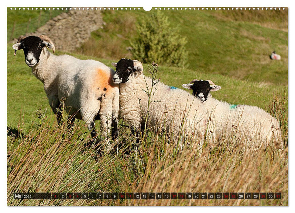 Lake District - Streifzüge durch ein englisches Paradies (CALVENDO Premium Wandkalender 2025)