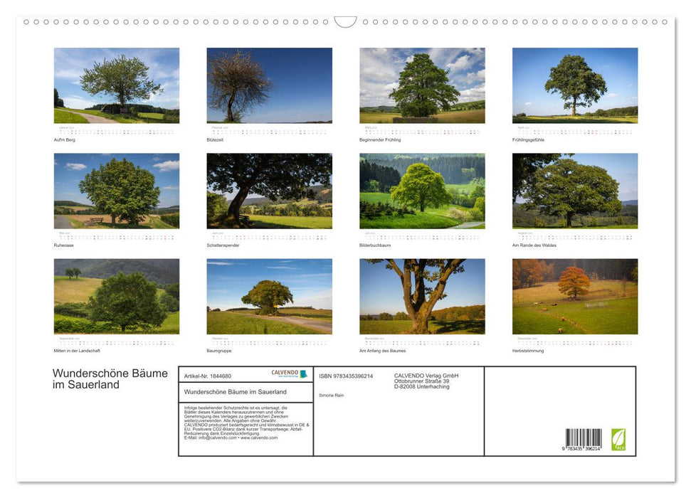 Wunderschöne Bäume im Sauerland (CALVENDO Wandkalender 2025)