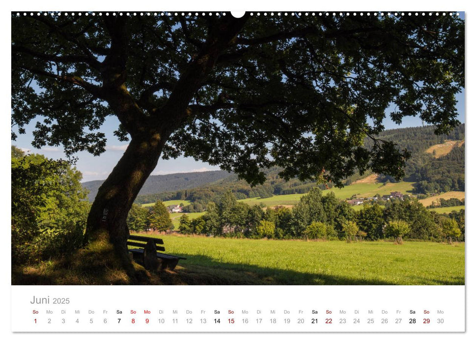 Wunderschöne Bäume im Sauerland (CALVENDO Wandkalender 2025)