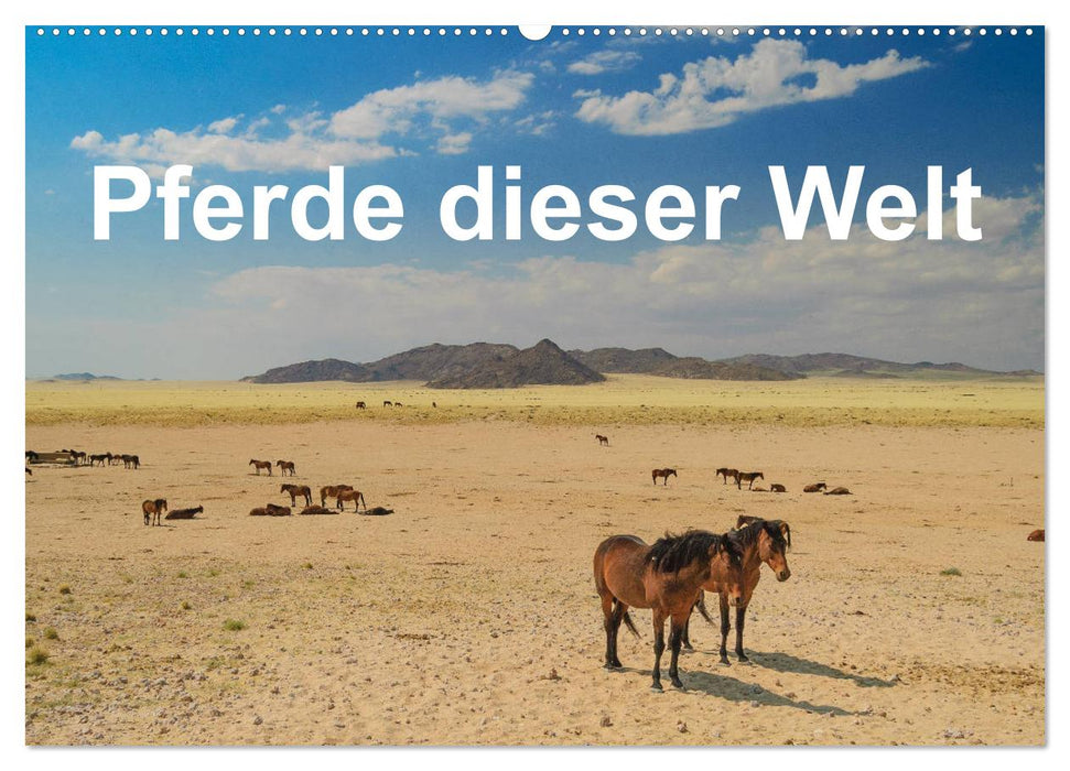 Pferde dieser Welt (CALVENDO Wandkalender 2025)