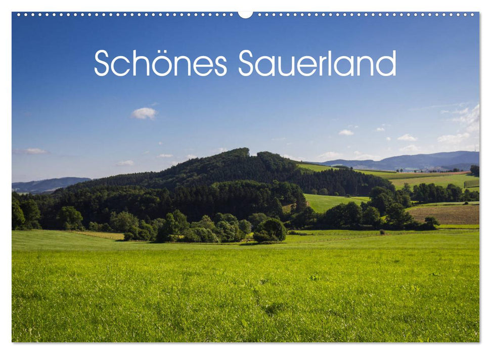 Schönes Sauerland (CALVENDO Wandkalender 2025)