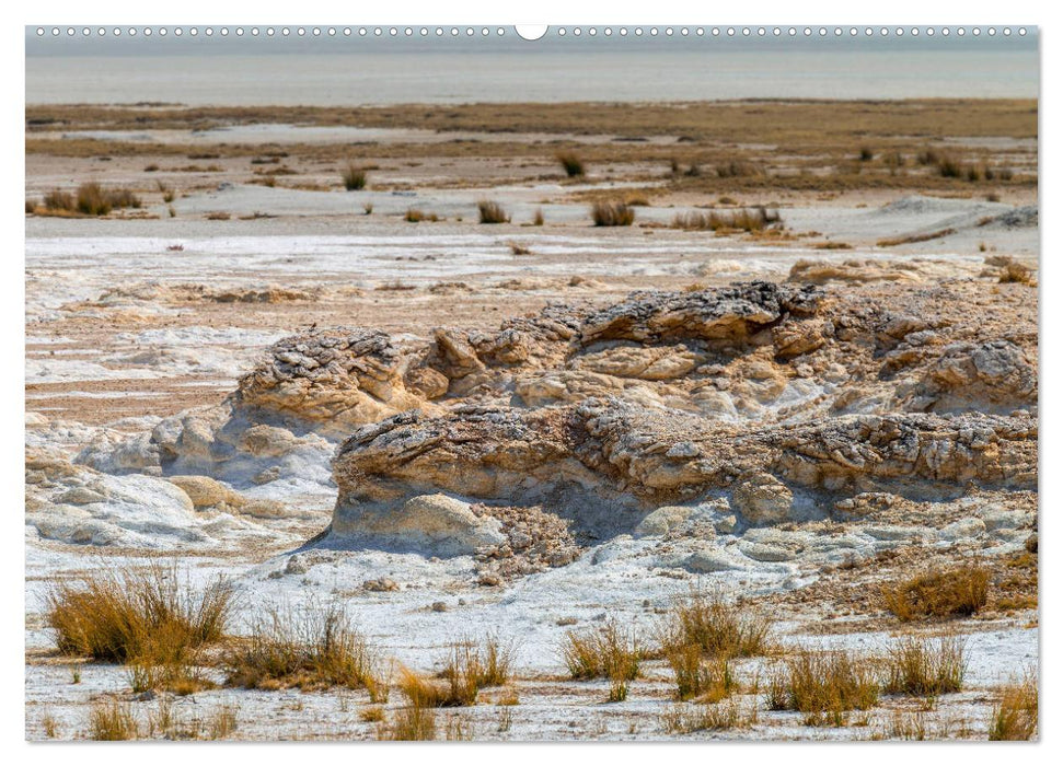 ETOSHA – Namibia Highlights (CALVENDO Premium Wandkalender 2025)